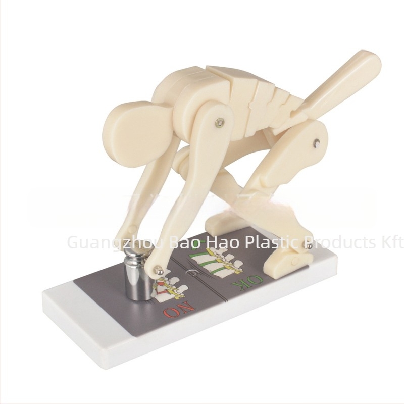 Műanyag gerinc terhelés-demonstrációs modell alapállvánnyal