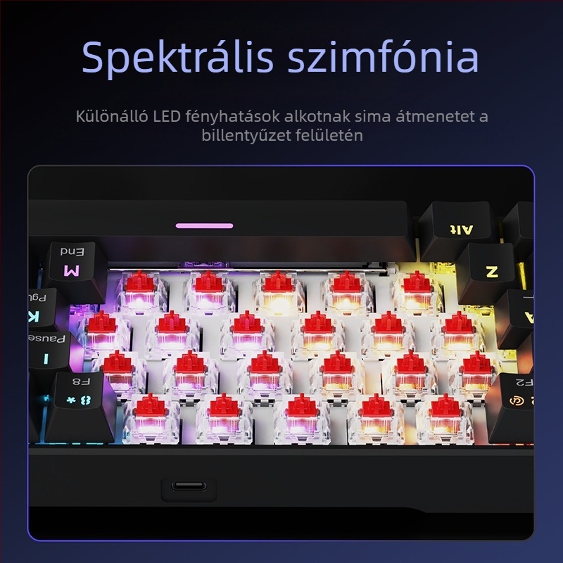 Gamer billentyűzet, 60%-os elrendezés, ≤87 billentyű, kábeles csatlakozás, mechanikus kapcsolók