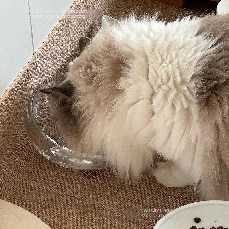 Macska etető tál — üveg, kiöntésmentes, ferde nyílású, modell #2235