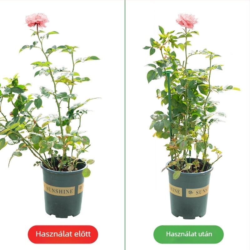 Vas virág-támasz egyetlen rúddal, kültéri kerthez, vasból készült, alkalmas futó rózsák és hortenzia számára