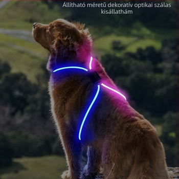 DIY kivágható LED kutyamellény USB-töltéssel