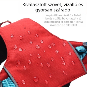 Kutyapóráz és hám készlet - könnyű, légáteresztő, nem visszahúzható - kis testű kutyáknak, sétákhoz