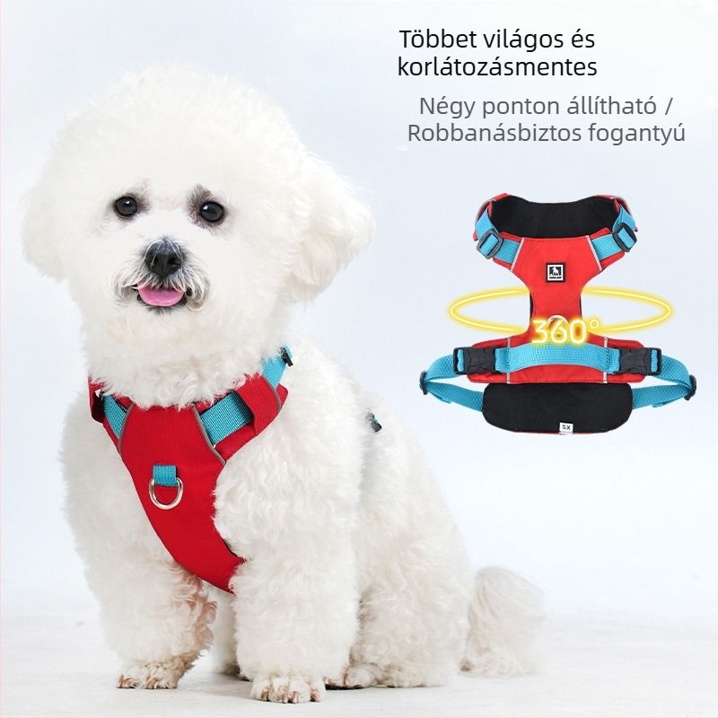 Kutyapóráz és hám készlet - könnyű, légáteresztő, nem visszahúzható - kis testű kutyáknak, sétákhoz