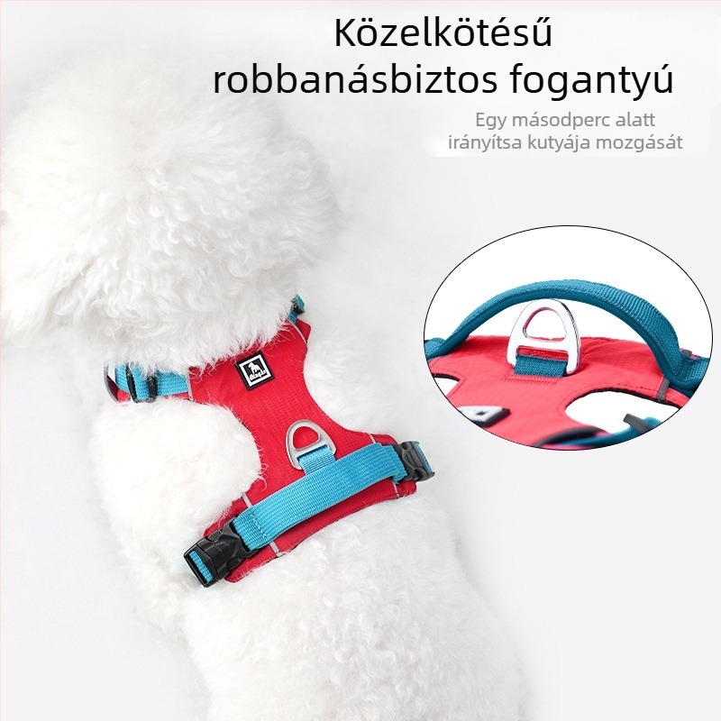 Kutyapóráz és hám készlet - könnyű, légáteresztő, nem visszahúzható - kis testű kutyáknak, sétákhoz