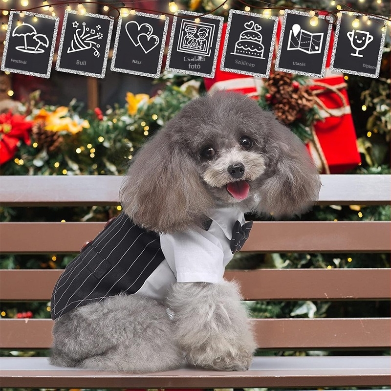 Kutyus esküvői mellény – formális mellény leválasztható csokornyakkendővel, gallérral és kendővel, poliészter, brit stílus, termékkód 6802LF