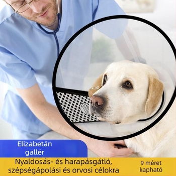 Nagy méretű kutya fejvédő étkezések közbeni nyalogatás és harapás megelőzésére, nyakvédő, Elizabeth-kolár alternatíva