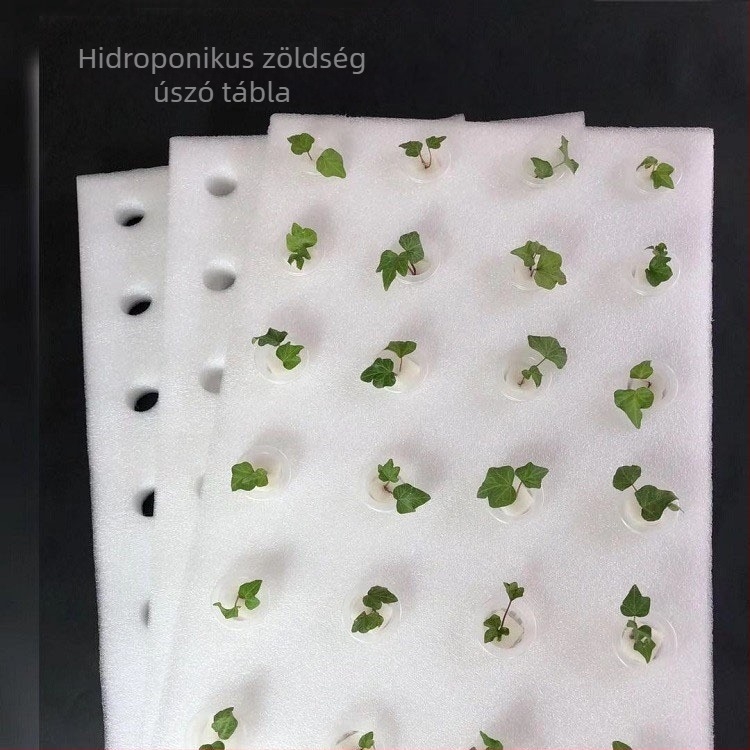 Üvegházi hidroponikus úszó ültetődeszka lyukas felülettel vízben termesztéshez