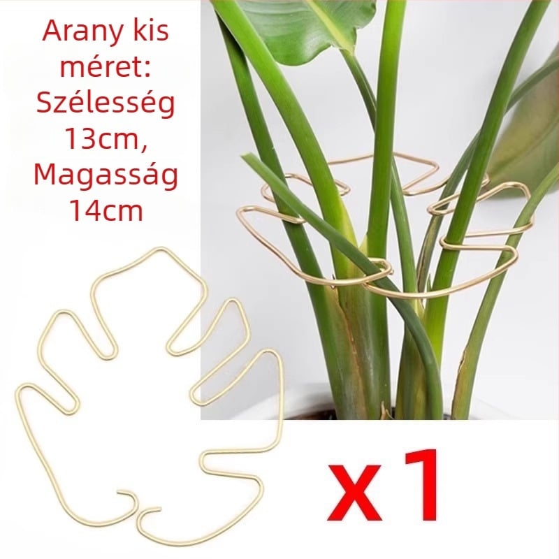 Monstera növény támogató rúd – hidroponikus formázó keret