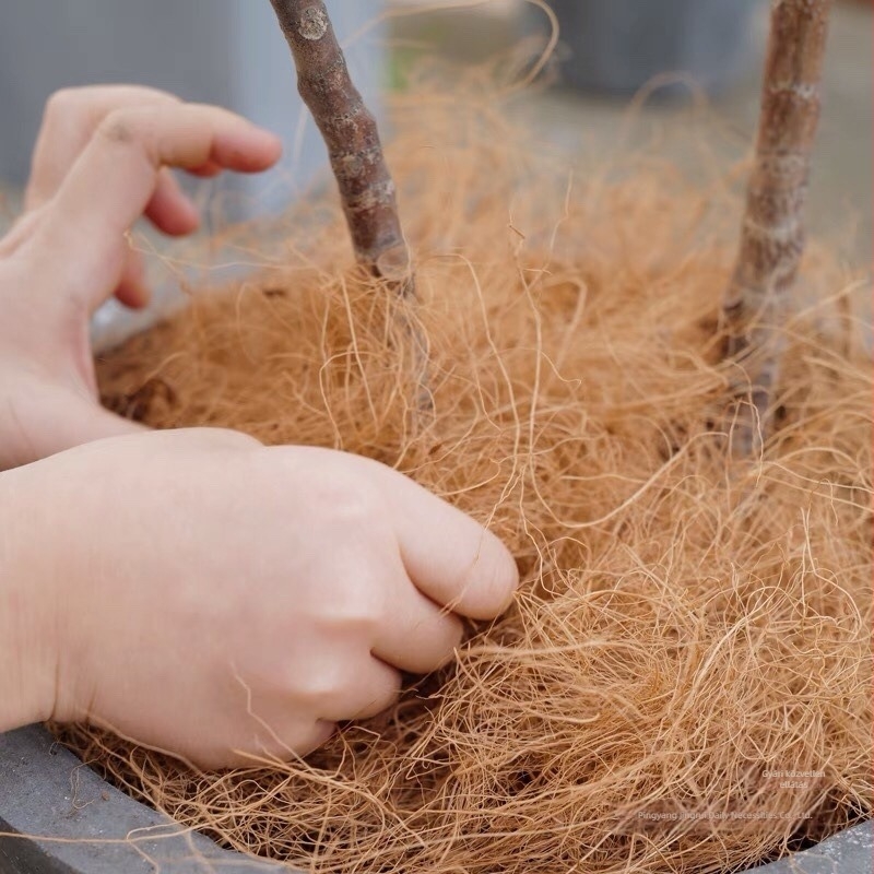Kókuszrost kerthez — dekoratív cseréptöltő, bonsai-alap és fűhatású járófelület