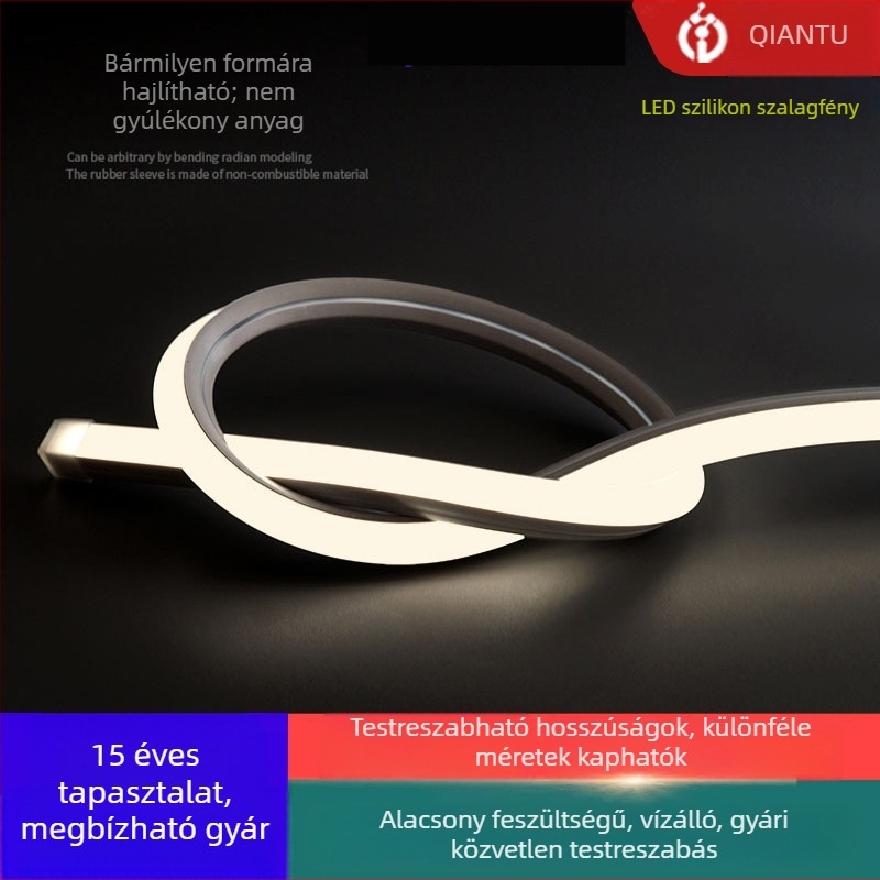 Rugalmas szilikon LED-szalag beépített vízálló lineáris fénnyel, 12V/24V kültéri lineáris világításhoz