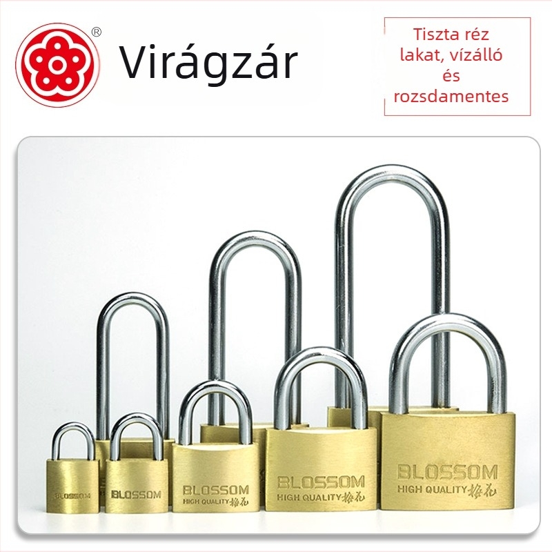 Plum Blossom zár, vékony rézből, hosszabbított zárszerkezettel, külső ajtóhoz, modern minimalista stílus, háztartási zár