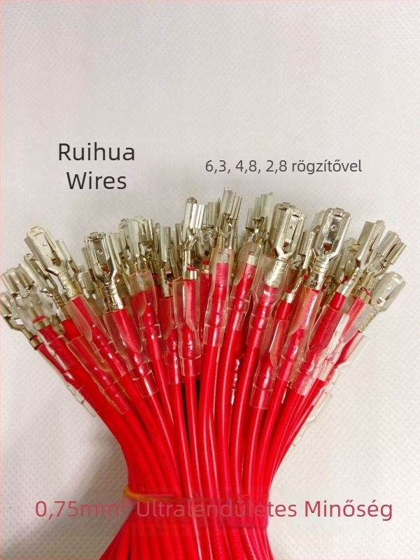 Zárható tápegység-csatlakozó, 2 pólusú, 4,8 mm és 6,3 mm terminálokkal, kábellel