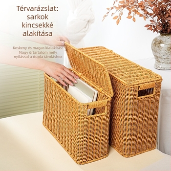Nagy tároló kosár tetővel, kézzel készített fonott rattan-stílusban, otthoni és szállodai használatra, ideális könyvekhez, magazinokhoz és apró dolgokhoz