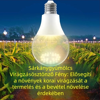 LED teljes spektrumú növénytermesztő lámpa, kültéri vízálló készlettel a dragon fruit megvilágításához