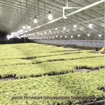 LED teljes spektrumú növénytermesztő lámpa, kültéri vízálló készlettel a dragon fruit megvilágításához