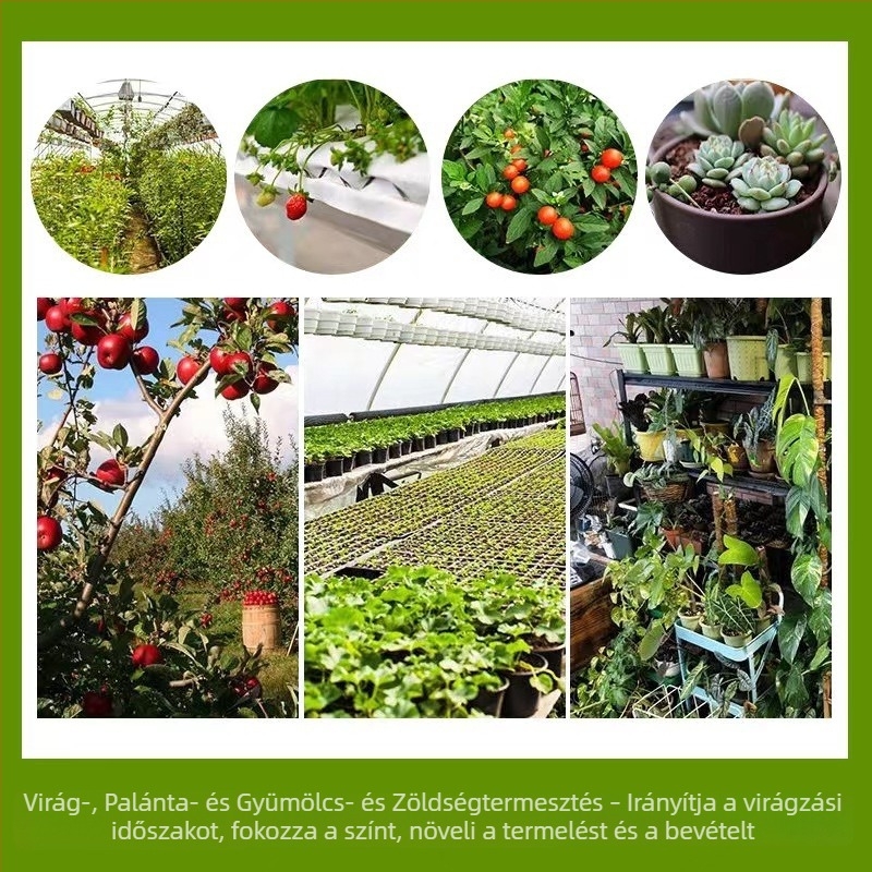 LED teljes spektrumú növénytermesztő lámpa, kültéri vízálló készlettel a dragon fruit megvilágításához
