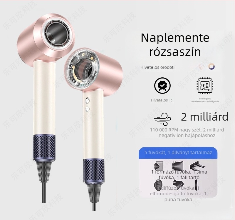 Hajszárító nagy sebességgel szalon és otthoni használatra, erőteljes légáramlás, negatív ionok és 1600 W