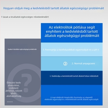 Hamster elektrolitporral és multivitaminokkal – stressz és hőguta megelőzése kis egzotikus háziállatok számára