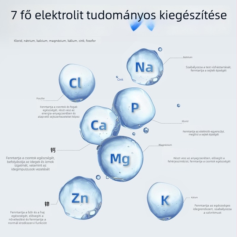 Hamster elektrolitporral és multivitaminokkal – stressz és hőguta megelőzése kis egzotikus háziállatok számára