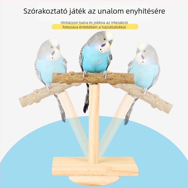 Tömörfa papagáj-edző játék asztali állvánnyal és billegő platformával