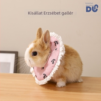 Elizabeth-kolár kisállatok számára — rágás elleni védelem