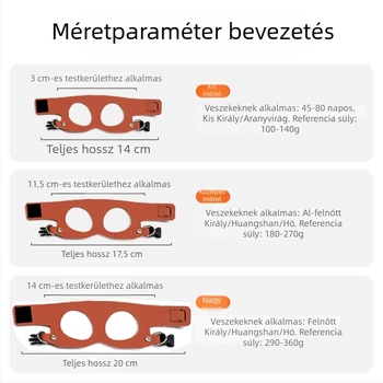 Mókus póráz és kültéri kötél játék készlet — Harapásálló, Megelőzi a veszteséget, Megelőzi a mászást