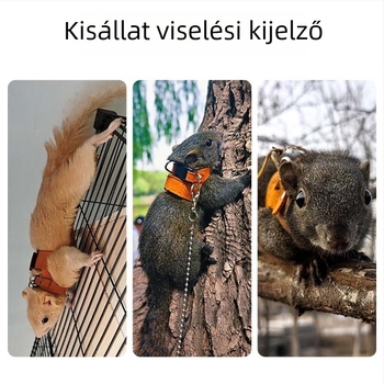 Mókus póráz és kültéri kötél játék készlet — Harapásálló, Megelőzi a veszteséget, Megelőzi a mászást