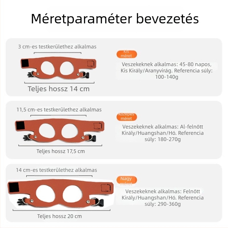 Mókus póráz és kültéri kötél játék készlet — Harapásálló, Megelőzi a veszteséget, Megelőzi a mászást