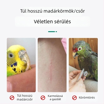 Papagáj körömcsiszoló állvány