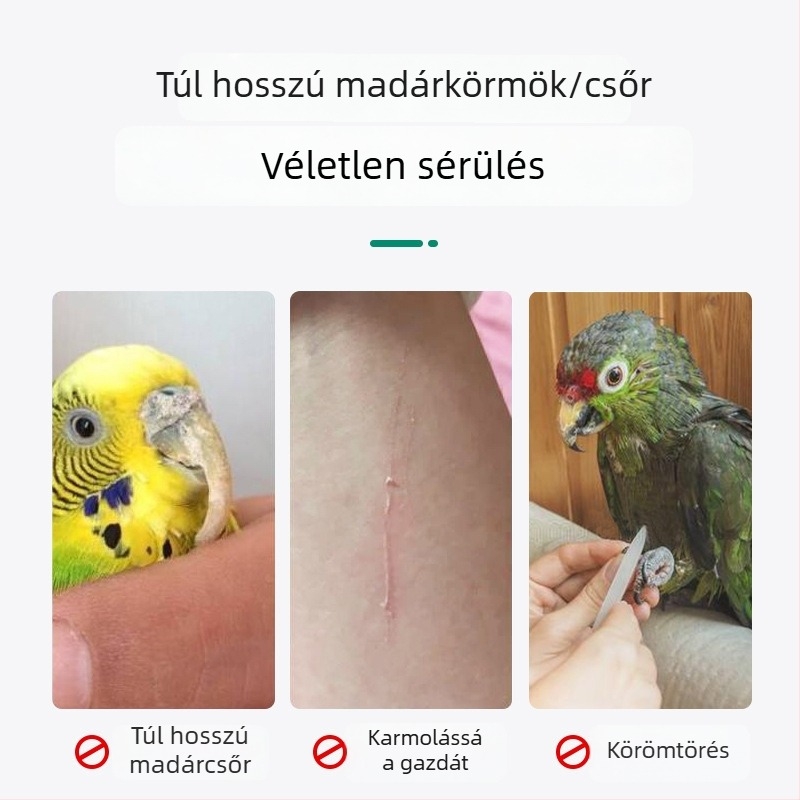 Papagáj körömcsiszoló állvány