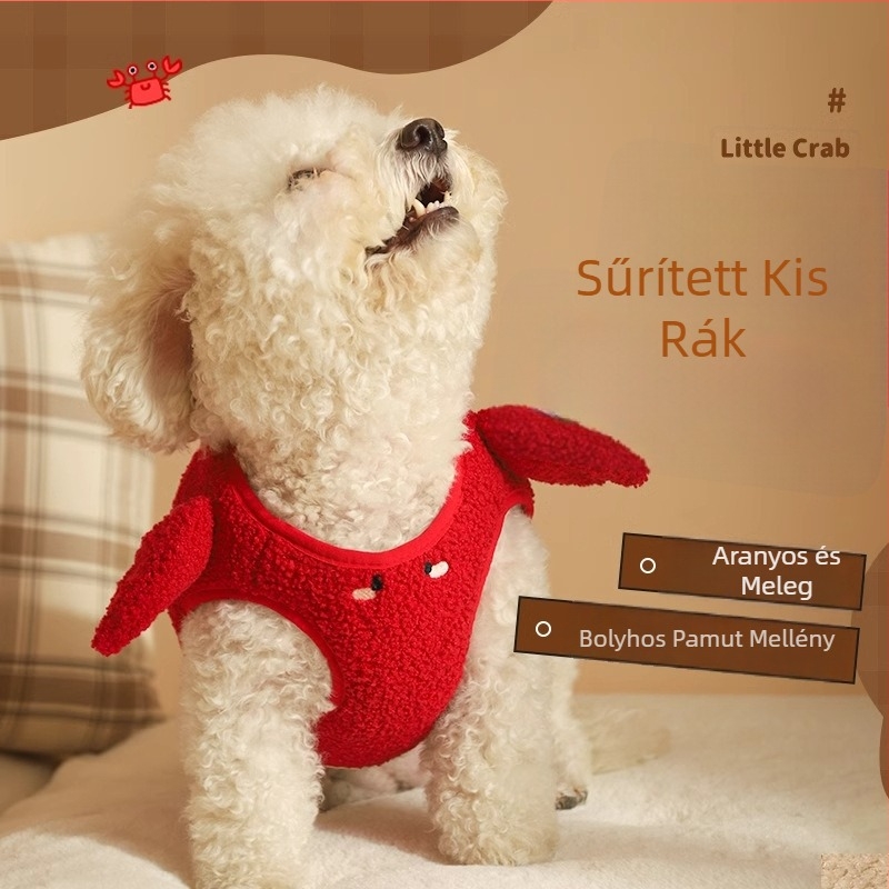 Őszi–téli kutyaruházat aprótestű ebeknek, Teddy és Bichon számára, téli ruházat háziállatok számára