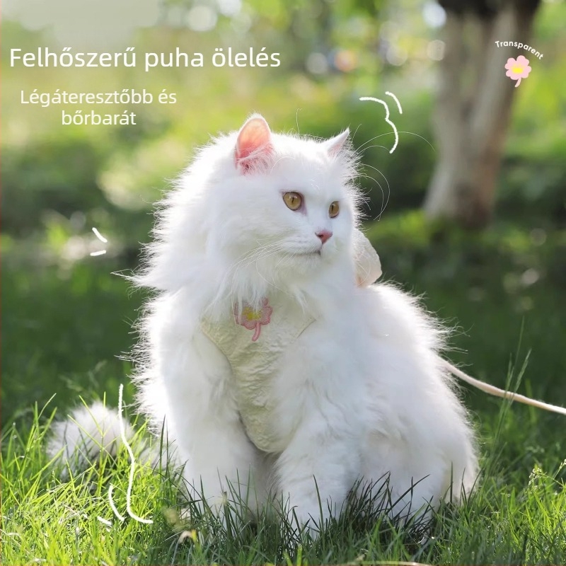 Macska hám pórázzal, lélegző mellény