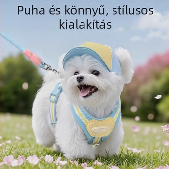 Kis méretű kutyák számára öv-stílusú hám, kölyökkutyáknak