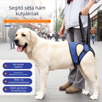 Újragondolt derékövvel készült segítő póráz sérült kutyáknak, a póráz kicsúszásának megelőzésére