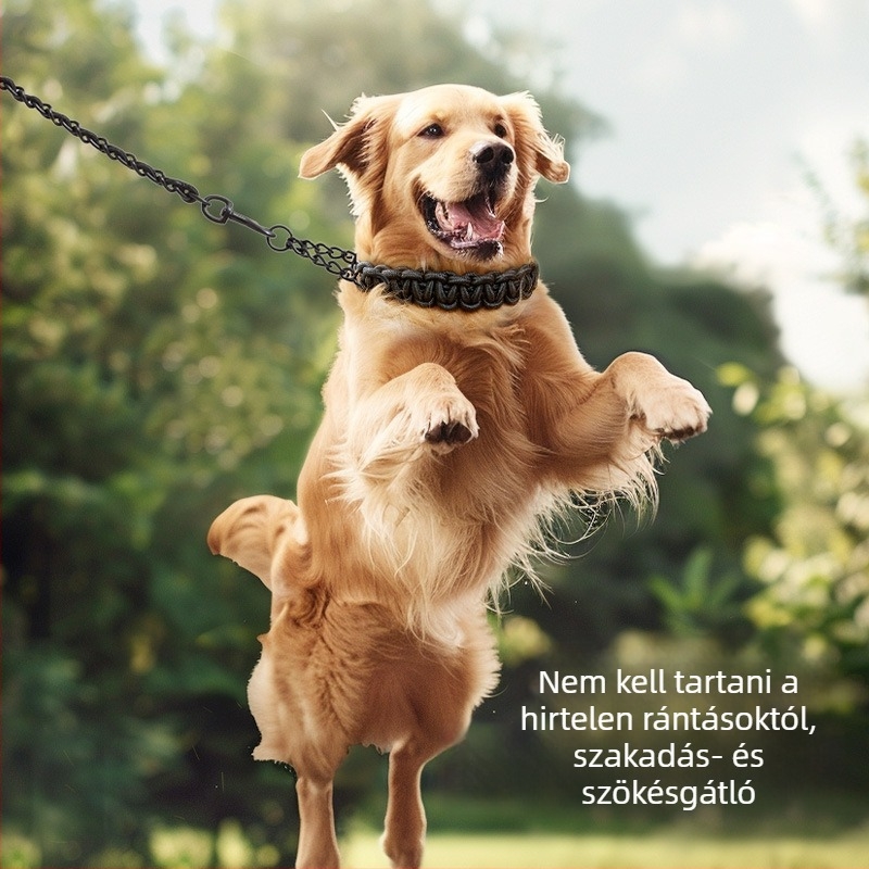 Nagy teherbírású, vastag P-láncos nylon póráz és vaslánc nyakörv közepes és nagy testű kutyáknak (Golden Retriever, Border Collie)