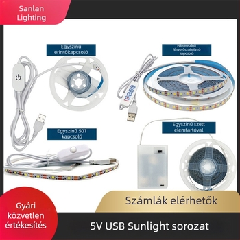 Dekoratív LED festmény öntapadós LED csíkkal, 5V USB akkumulátor doboz, kétszínű és háromszínű LED világítás