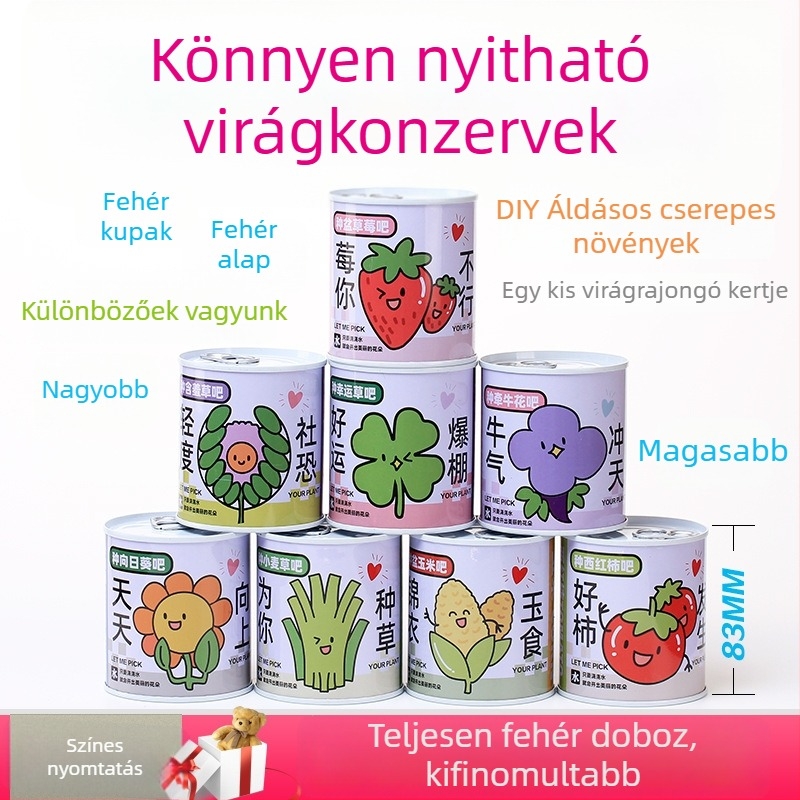 Asztali mini növények doboz-szerű csomagolásban napraforgó, eper, paradicsom és lóhere magokkal – könnyen nevelhető, alacsony karbantartású, ideális ajándék diákoknak.