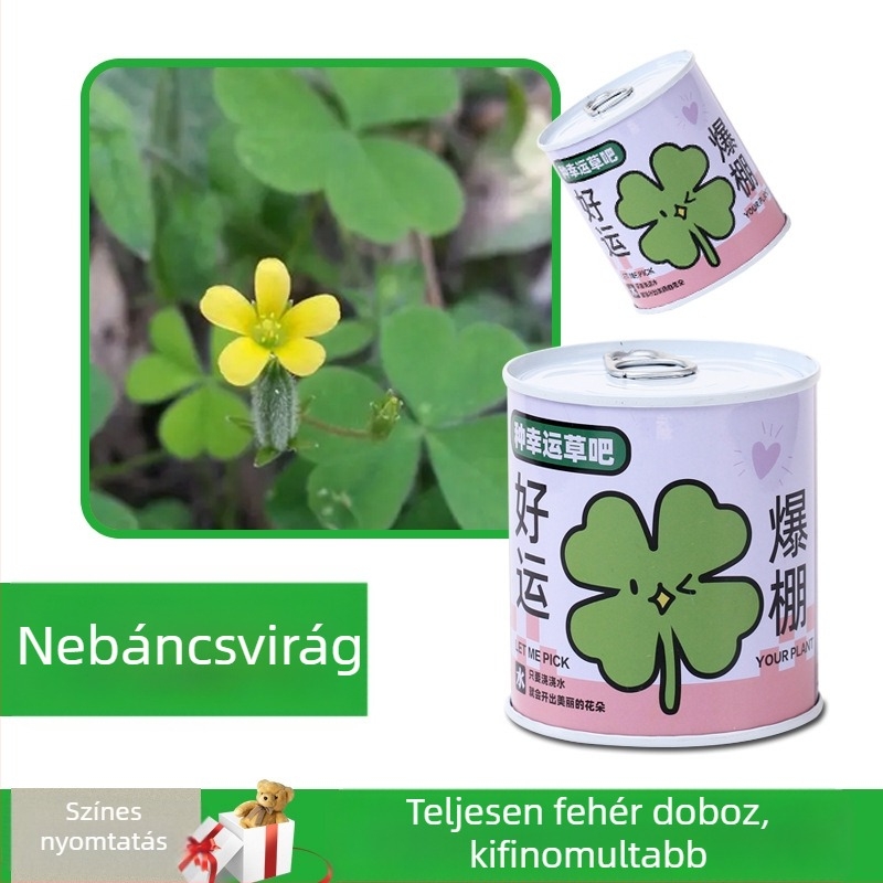 Asztali mini növények doboz-szerű csomagolásban napraforgó, eper, paradicsom és lóhere magokkal – könnyen nevelhető, alacsony karbantartású, ideális ajándék diákoknak.