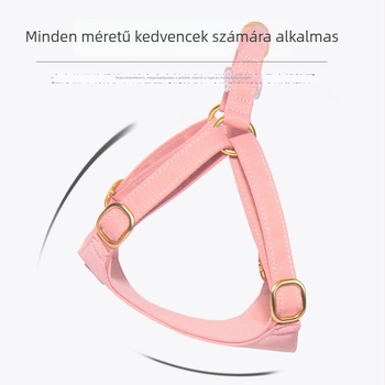 Kis méretű kutyáknak szett: hám és póráz