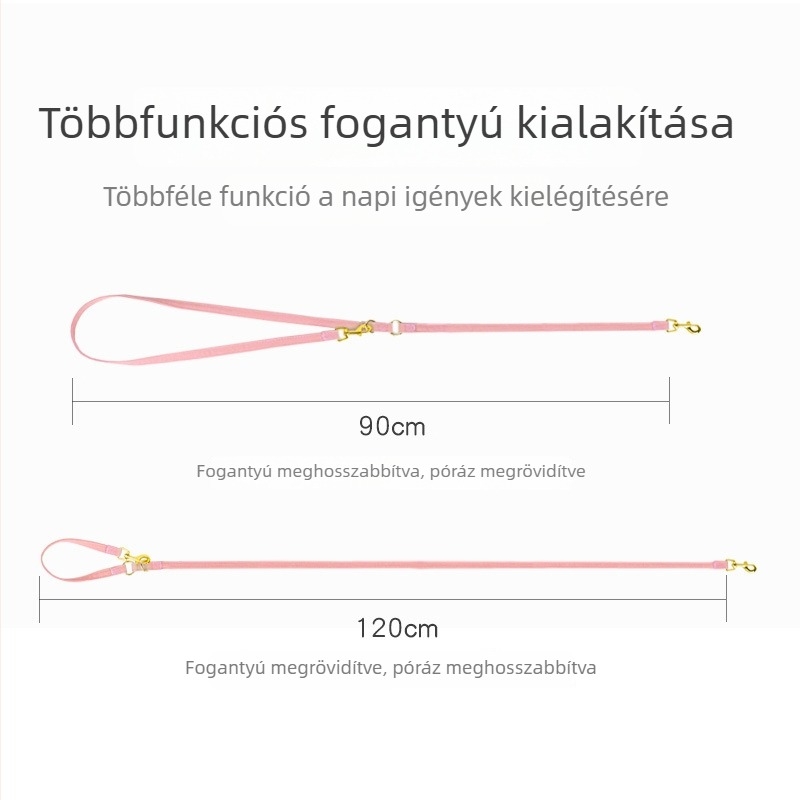 Kis méretű kutyáknak szett: hám és póráz