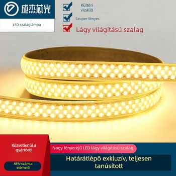 Kültéri 220V IP65 LED-szalag, 348 LED/m, 22W, 180° fényszög, egyszínű, 2835 SMD, erőteljes architekturális világítás alagutakhoz és hidakhoz