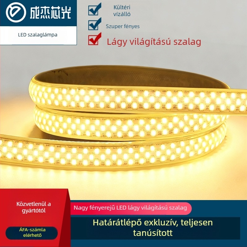 Kültéri 220V IP65 LED-szalag, 348 LED/m, 22W, 180° fényszög, egyszínű, 2835 SMD, erőteljes architekturális világítás alagutakhoz és hidakhoz