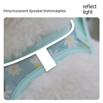 Nyári fényvisszaverő kutya mellkasi hám — kényelmes és lélegző, szakadásálló, Teddy/Bichon kölyökkutyáknak