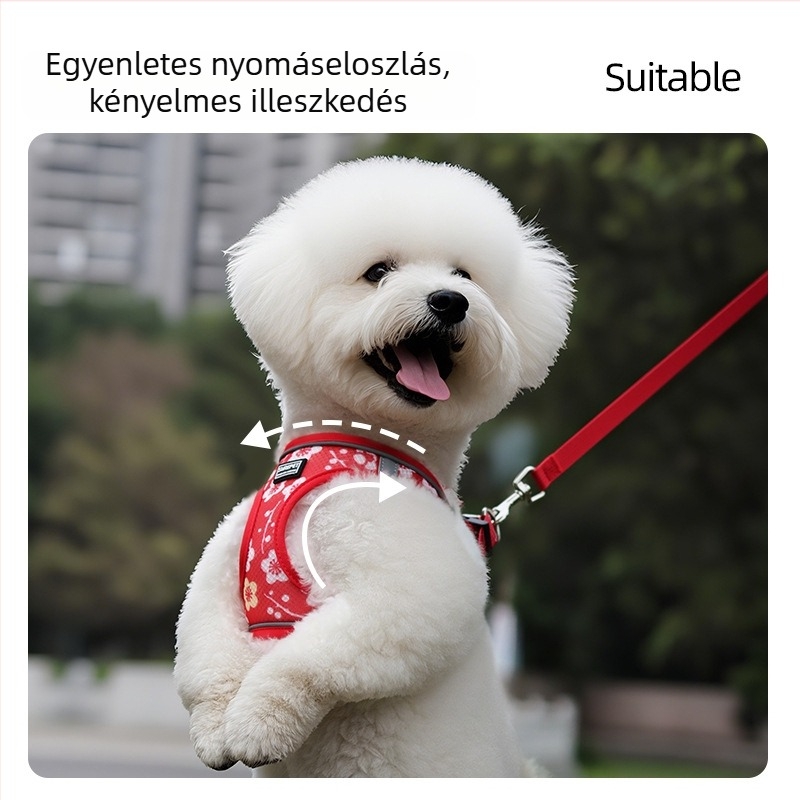 Nyári fényvisszaverő kutya mellkasi hám — kényelmes és lélegző, szakadásálló, Teddy/Bichon kölyökkutyáknak