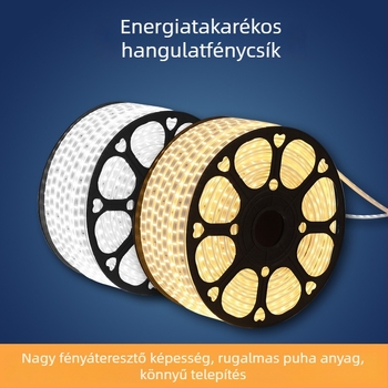 LED-szalag 5730, kültéri vízálló, 220V, színváltoztatás és fényerő-szabályozás, szilikon díszítő fénycsík háztartási és mérnöki felhasználásra