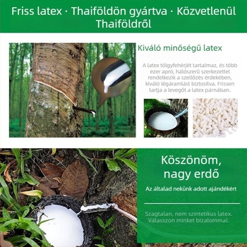 Refined Rose természetes latex nyak- és fejnyak párna, négyzet alakú, 10–15 cm magas, fehér, huzat vegyi rostból, 95% természetes latex töltet