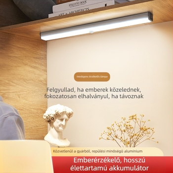 Mozgásérzékelős éjszakai fény, újratölthető, állítható fényerővel, világítás szekrényekhez és ruhásszekrényekhez, folyosó LED