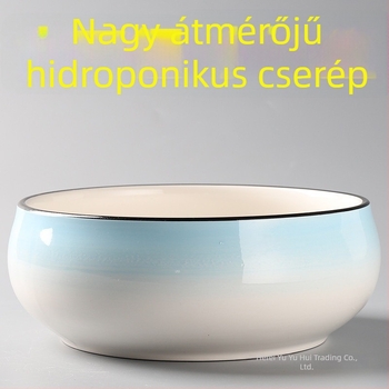 Kerámia virágcserép hidroponikus növényekhez, nagy, egyszerű otthoni használatra.