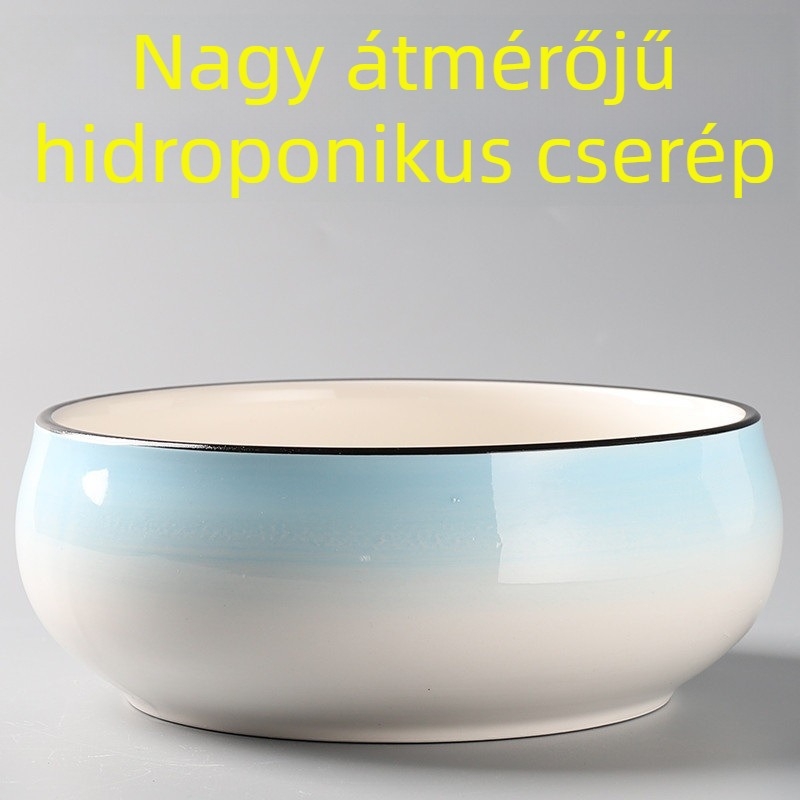 Kerámia virágcserép hidroponikus növényekhez, nagy, egyszerű otthoni használatra.