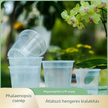 Átlátszó, megerősített PP műanyag orchideatál Phalaenopsis számára, otthonra és erkélyre